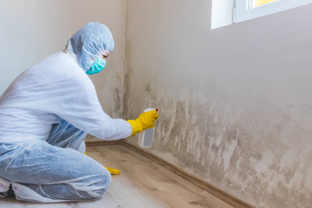 Bathroom Mold Removal assessment in Lincoln bathroom